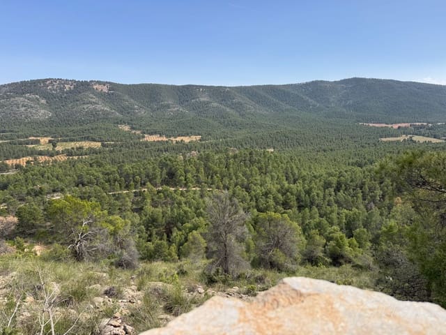 Undeveloped Land for sale in Cehegín - € 430,000 (Ref: 9777549)