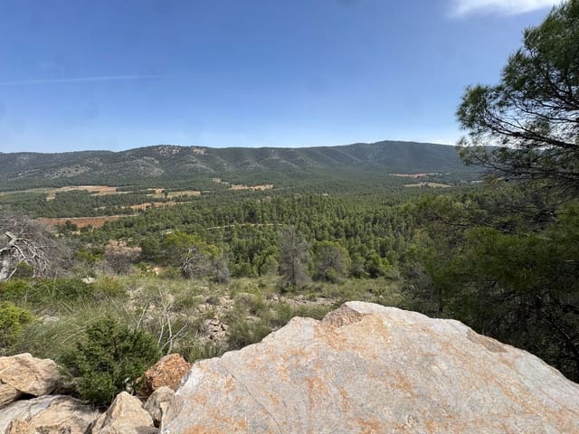 Undeveloped Land for sale in Cehegín - € 430,000 (Ref: 9777549)