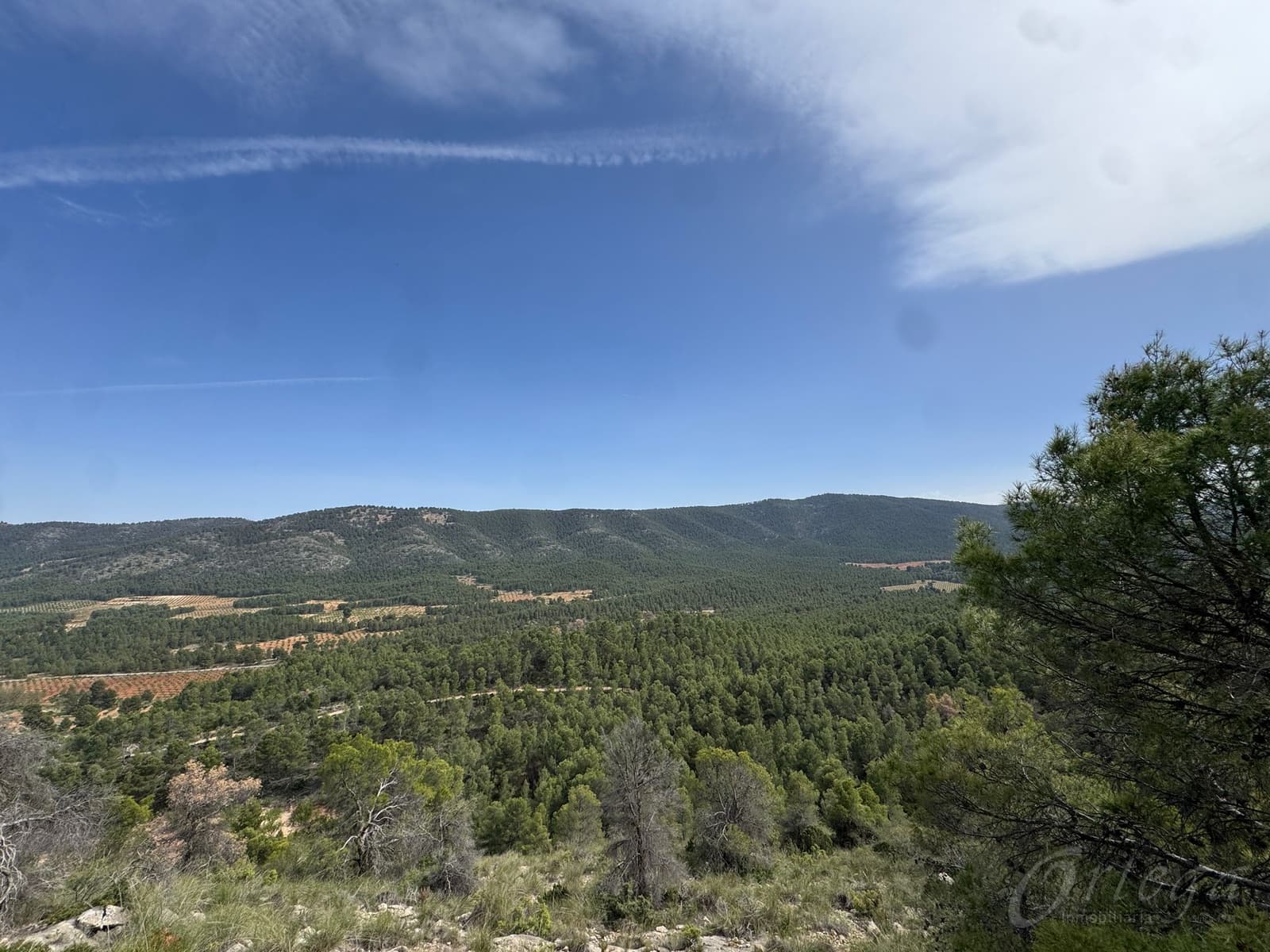 Undeveloped Land for sale in Cehegin - € 430,000 (Ref: 9777549)