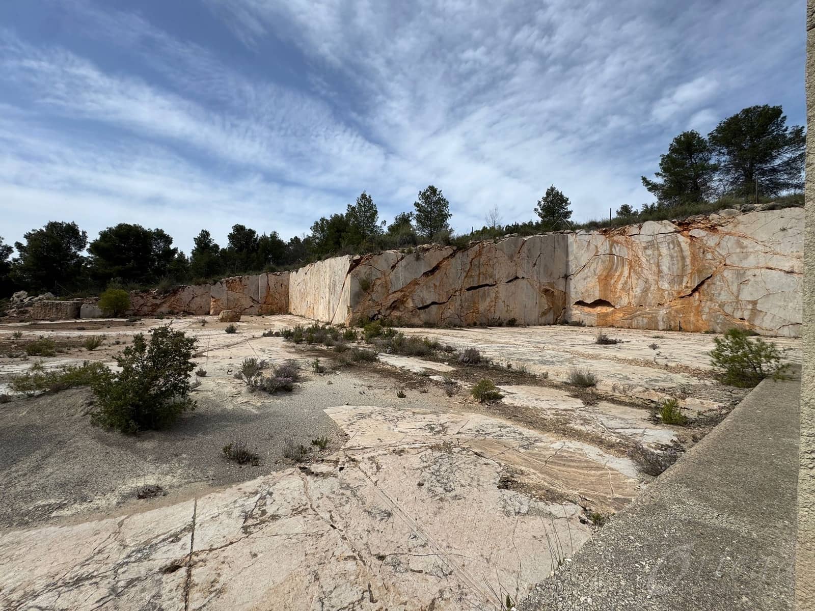 Undeveloped Land for sale in Cehegin - € 430,000 (Ref: 9777549)