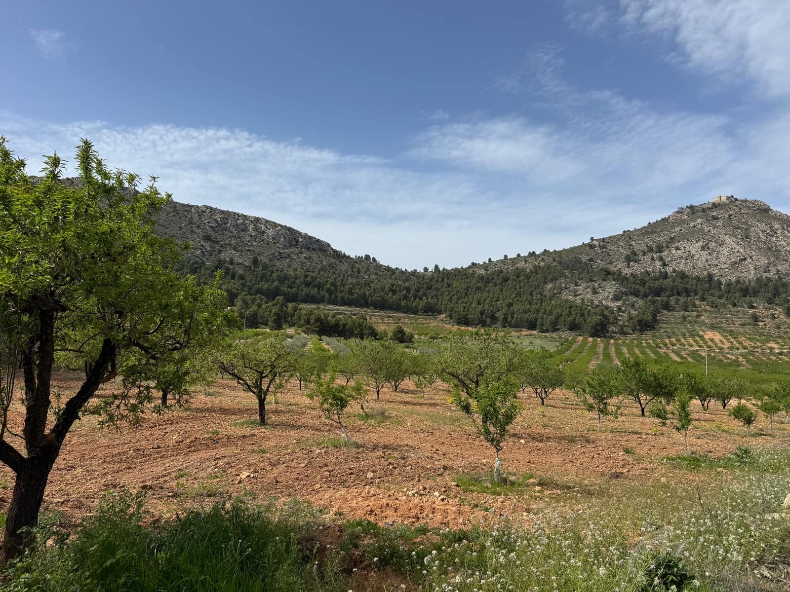 Undeveloped Land for sale in Cehegin - € 430,000 (Ref: 9777549)