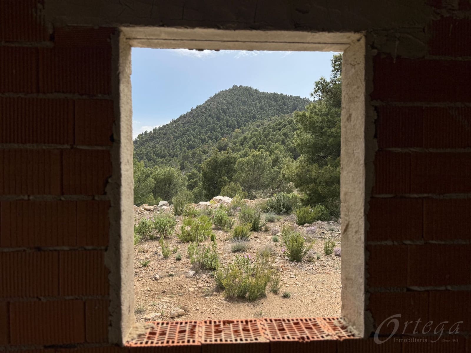 Undeveloped Land for sale in Cehegin - € 430,000 (Ref: 9777549)