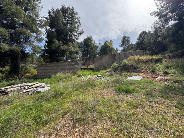 Undeveloped Land for sale in Cehegín - € 430,000 (Ref: 9777549)