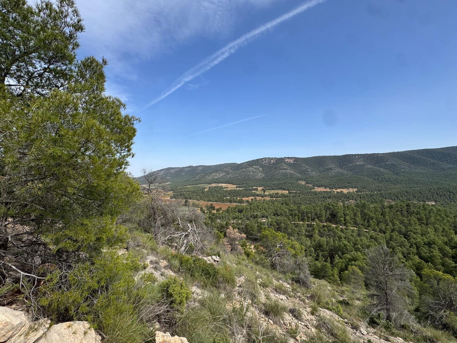 Undeveloped Land for sale in Cehegin - € 430,000 (Ref: 9777549)