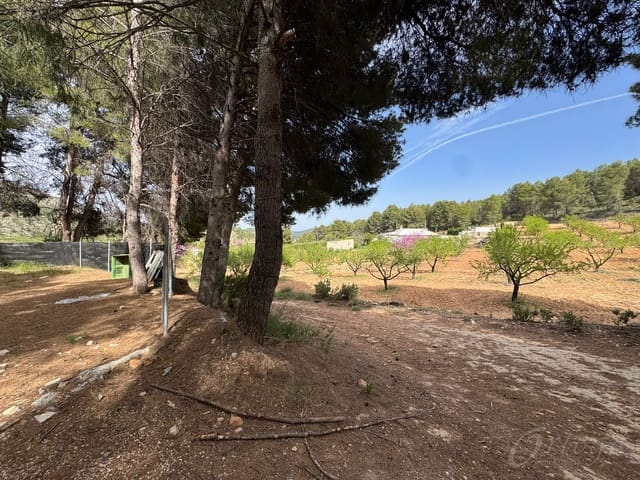 Undeveloped Land for sale in Cehegín - € 430,000 (Ref: 9777549)