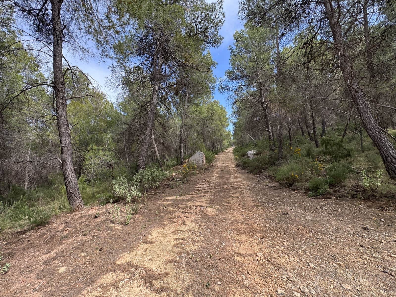 Undeveloped Land for sale in Cehegin - € 430,000 (Ref: 9777549)