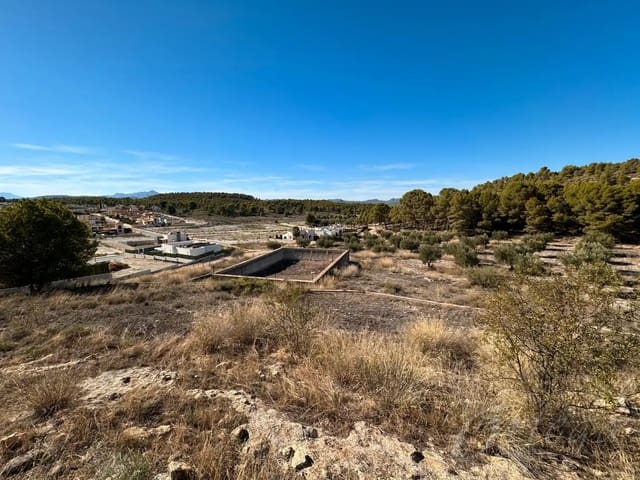 Finca/Landhuis te koop in Calasparra - € 150.000 (Ref: 9779166)