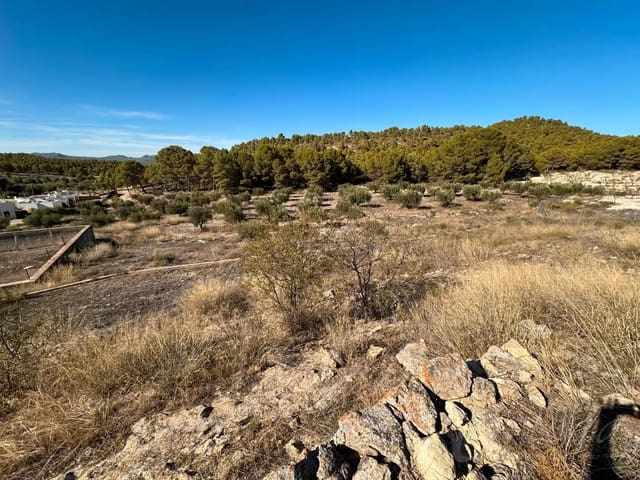 Finca/Landhuis te koop in Calasparra - € 150.000 (Ref: 9779166)