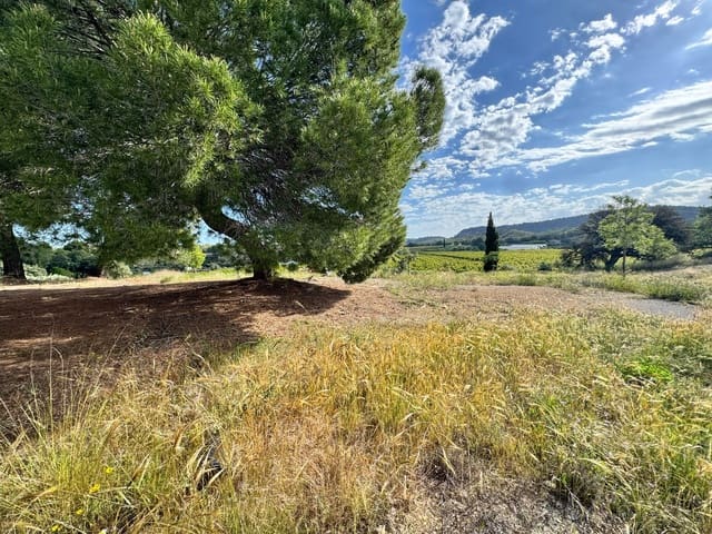 5 soverom Finca/Herregård til salgs i Cehegín - € 79 900 (Ref: 9834823)