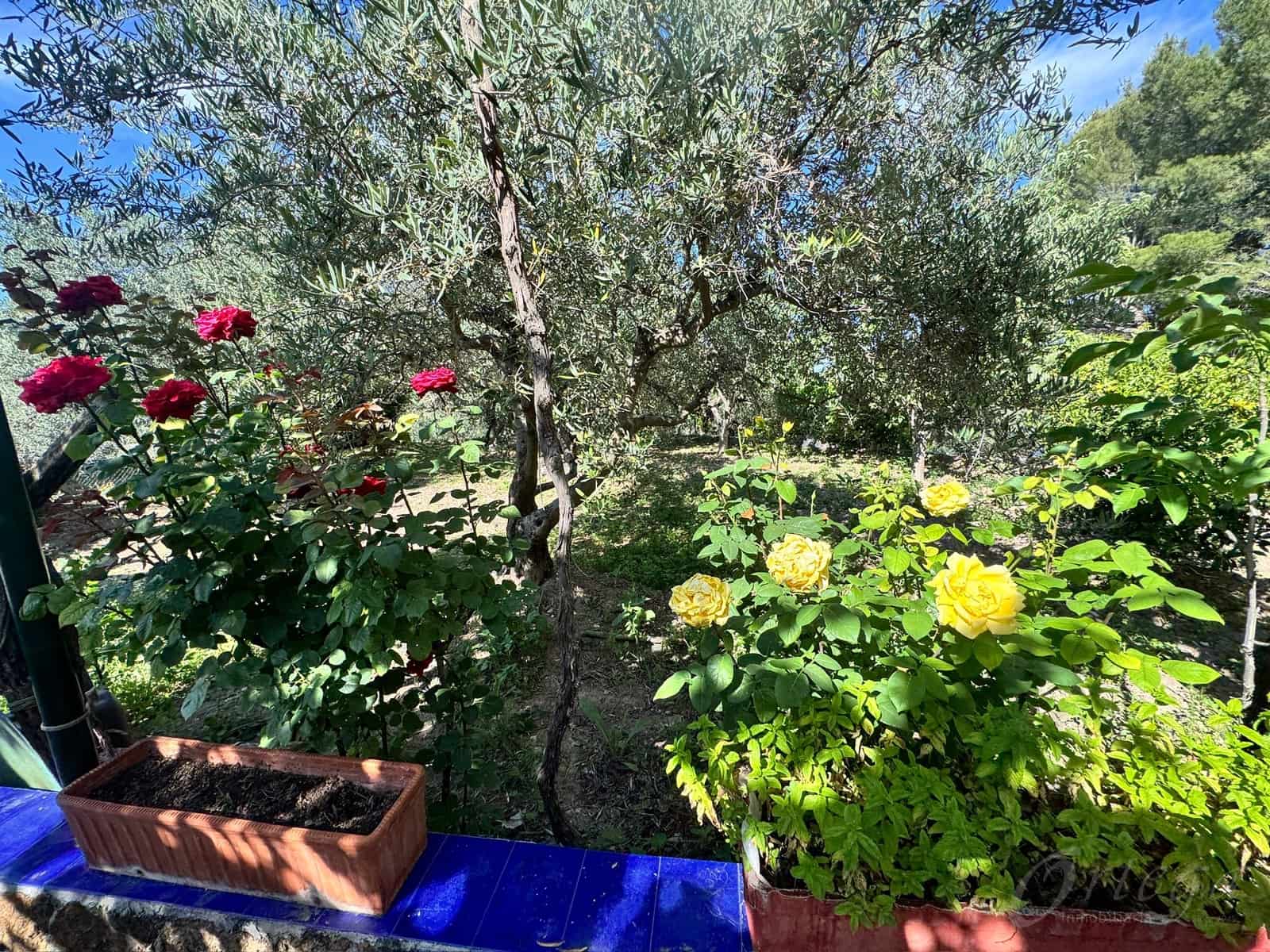 Finca/Casa Rural de 2 habitaciones en Cehegín en venta con piscina garaje - 135.000 € (Ref: 9858953)