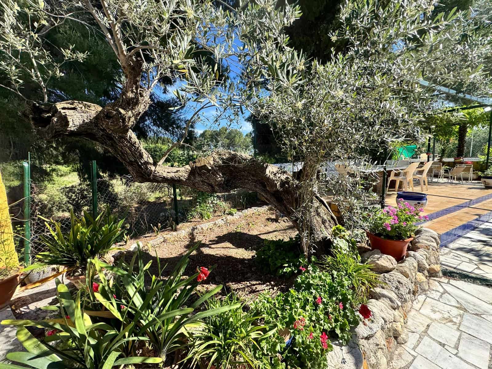 Finca/Casa Rural de 2 habitaciones en Cehegín en venta con piscina garaje - 135.000 € (Ref: 9858953)