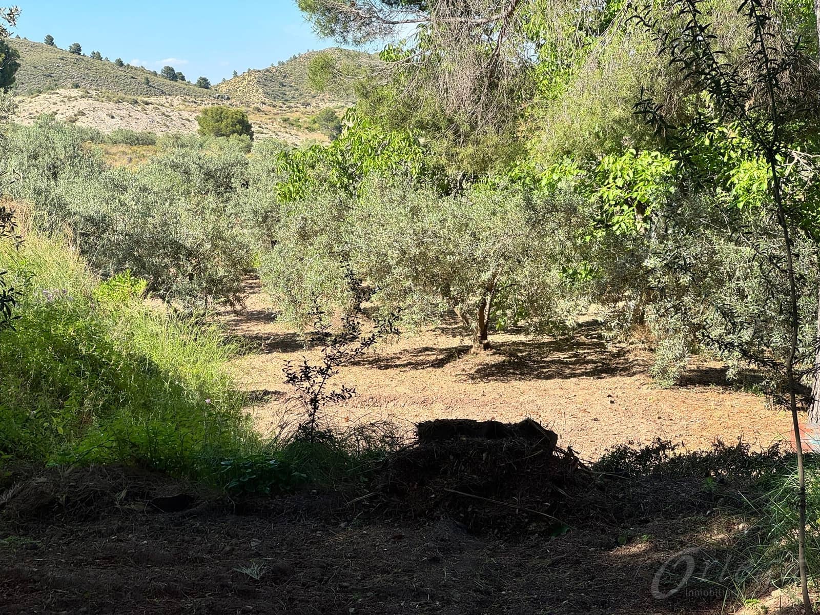 Finca/Casa Rural de 2 habitaciones en Cehegín en venta con piscina garaje - 135.000 € (Ref: 9858953)