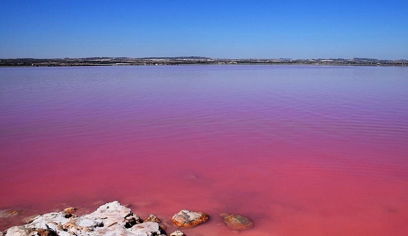 5 sypialnia Willa na sprzedaż w Los Montesinos z basenem - 780 000 € (Ref: 9297568)