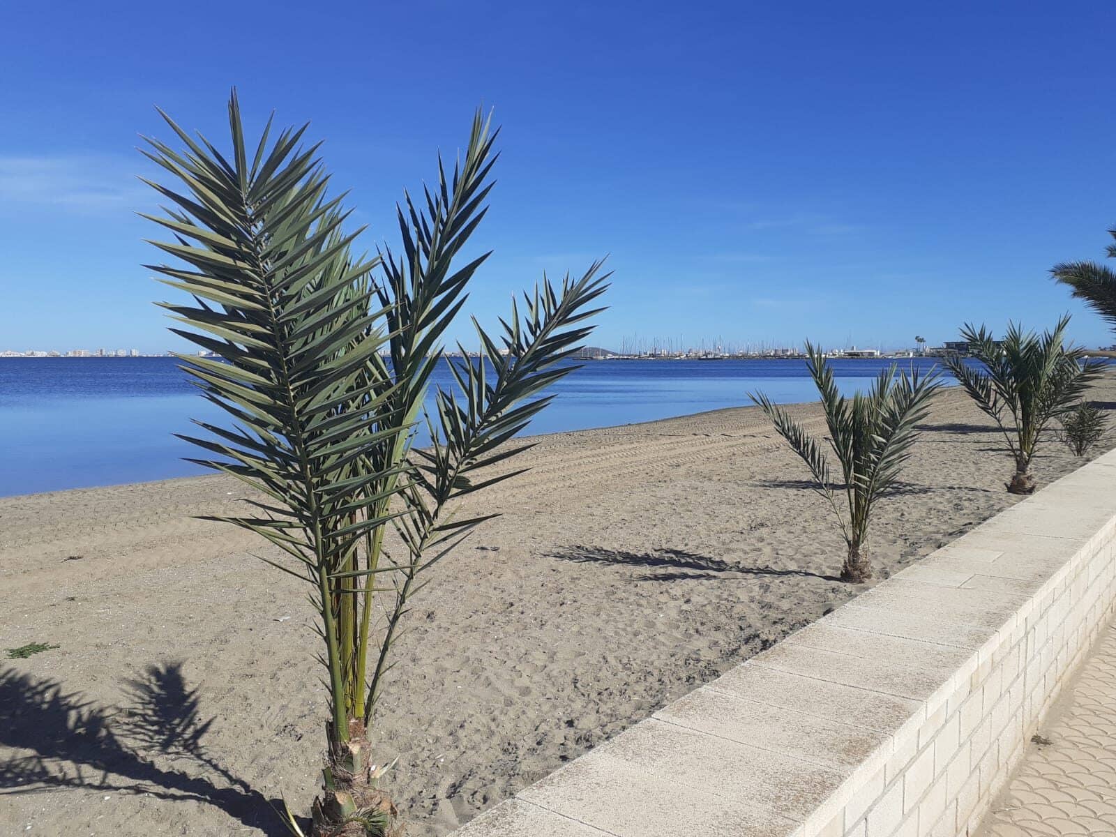 3 makuuhuone Paritalo myytävänä paikassa Los Nietos mukana uima-altaan - 359 900 € (Ref: 9300625)