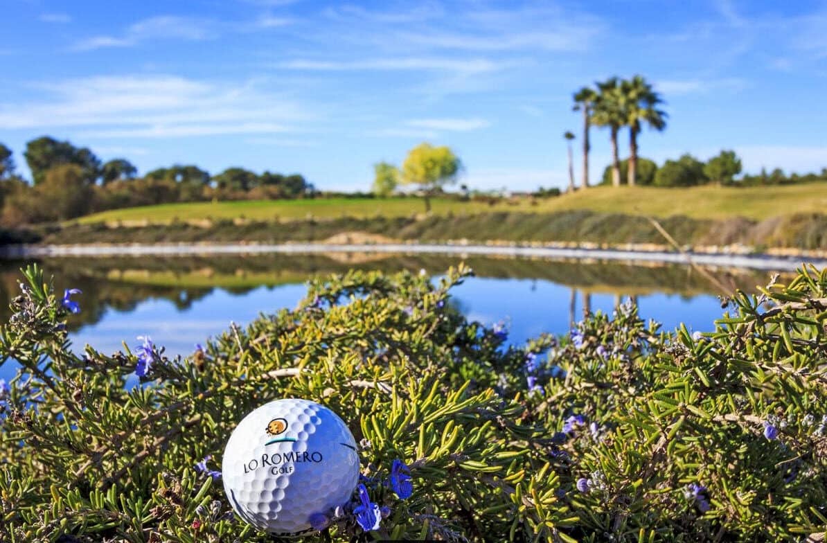 3 bedroom Villa for sale in Pilar de la Horadada - € 474,900 (Ref: 9300644)