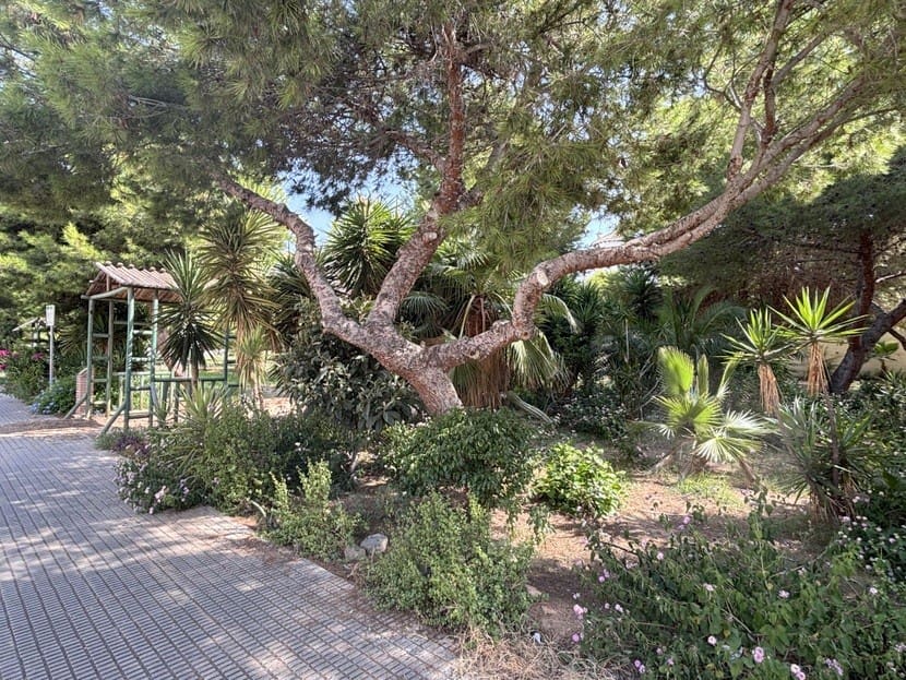 3 sypialnia Willa na sprzedaż w La Zenia z basenem - 210 000 € (Ref: 9317313)