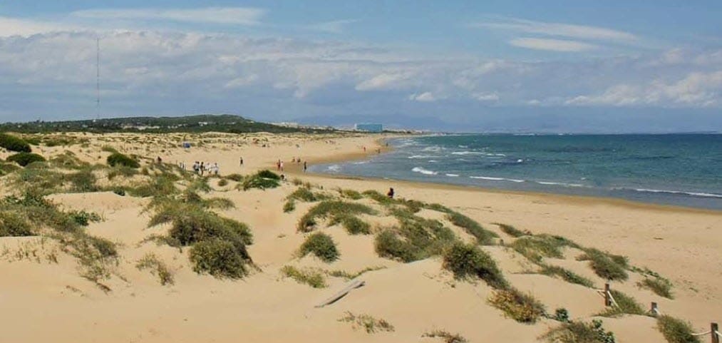 2 slaapkamer Villa te koop in Algorfa met zwembad - € 295.000 (Ref: 9385188)