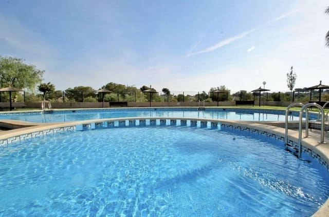 3 Zimmer Haus zu verkaufen in Los Altos mit Pool - 185.000 € (Ref: 9568176)