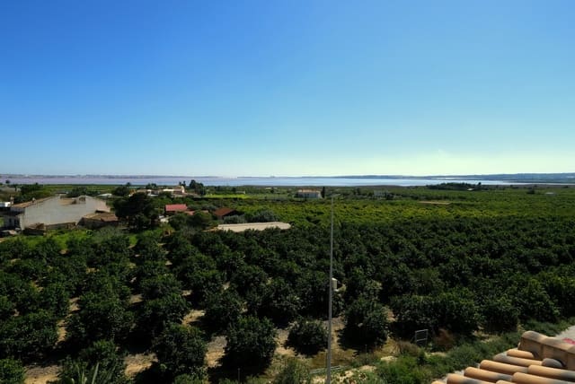 2 sypialnia Apartament na sprzedaż w Los Montesinos - 119 995 € (Ref: 9682384)