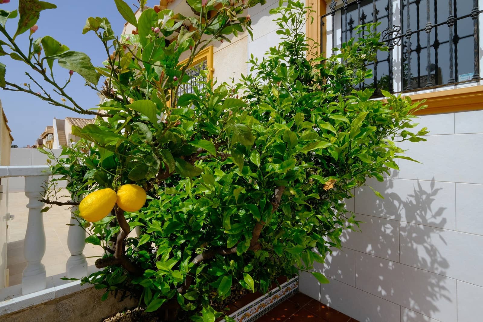 2 slaapkamer Bungalow te koop in Cabo Roig met zwembad - € 196.000 (Ref: 9763527)