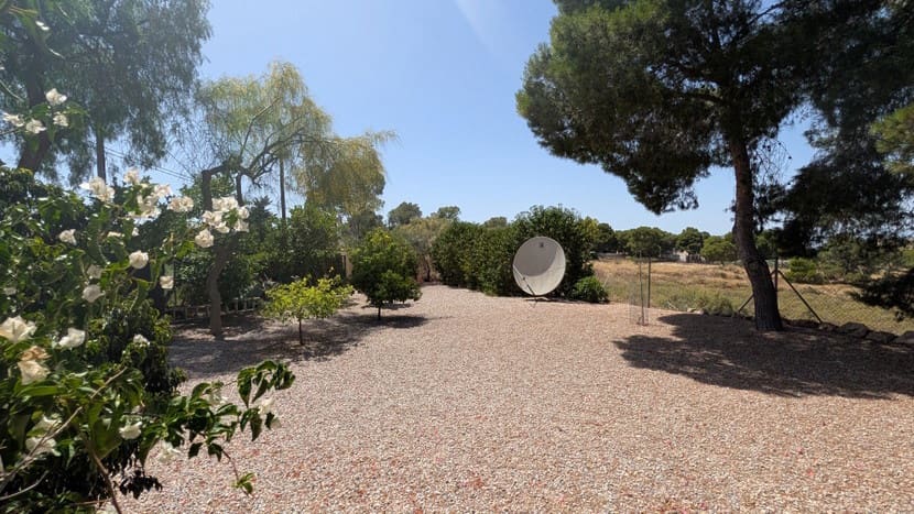 4 bedroom Villa for sale in Canada de San Pedro with pool garage - € 350,000 (Ref: 9924208)