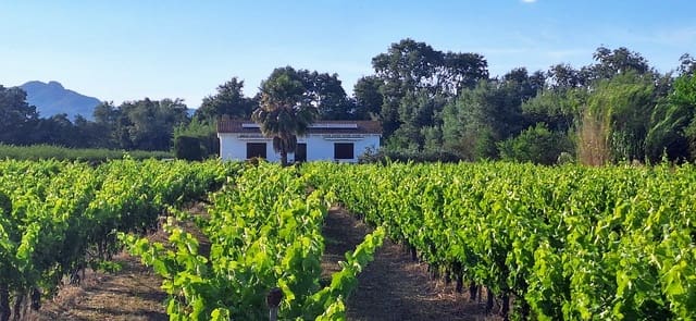 2 bedroom Finca/Country House for sale in Ginestar with pool - € 295,000 (Ref: 10018745)