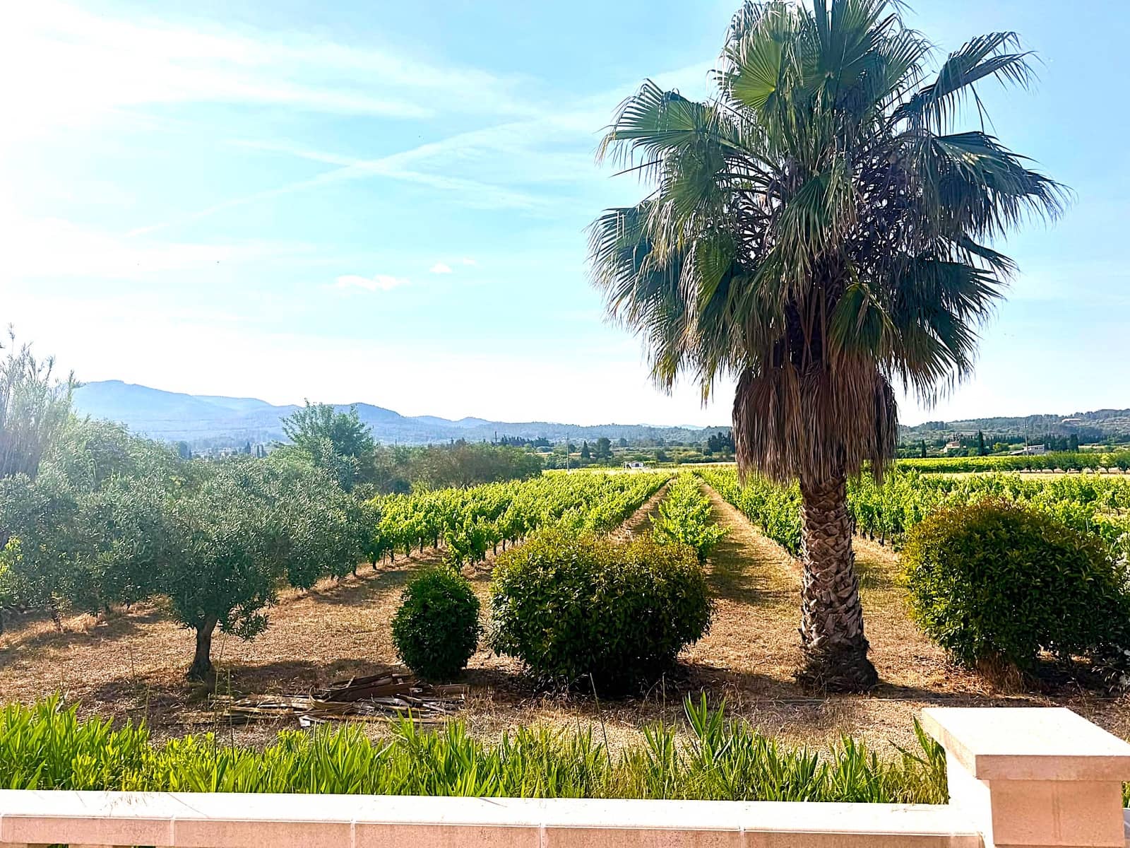 2 bedroom Finca/Country House for sale in Ginestar with pool - € 295,000 (Ref: 10018745)