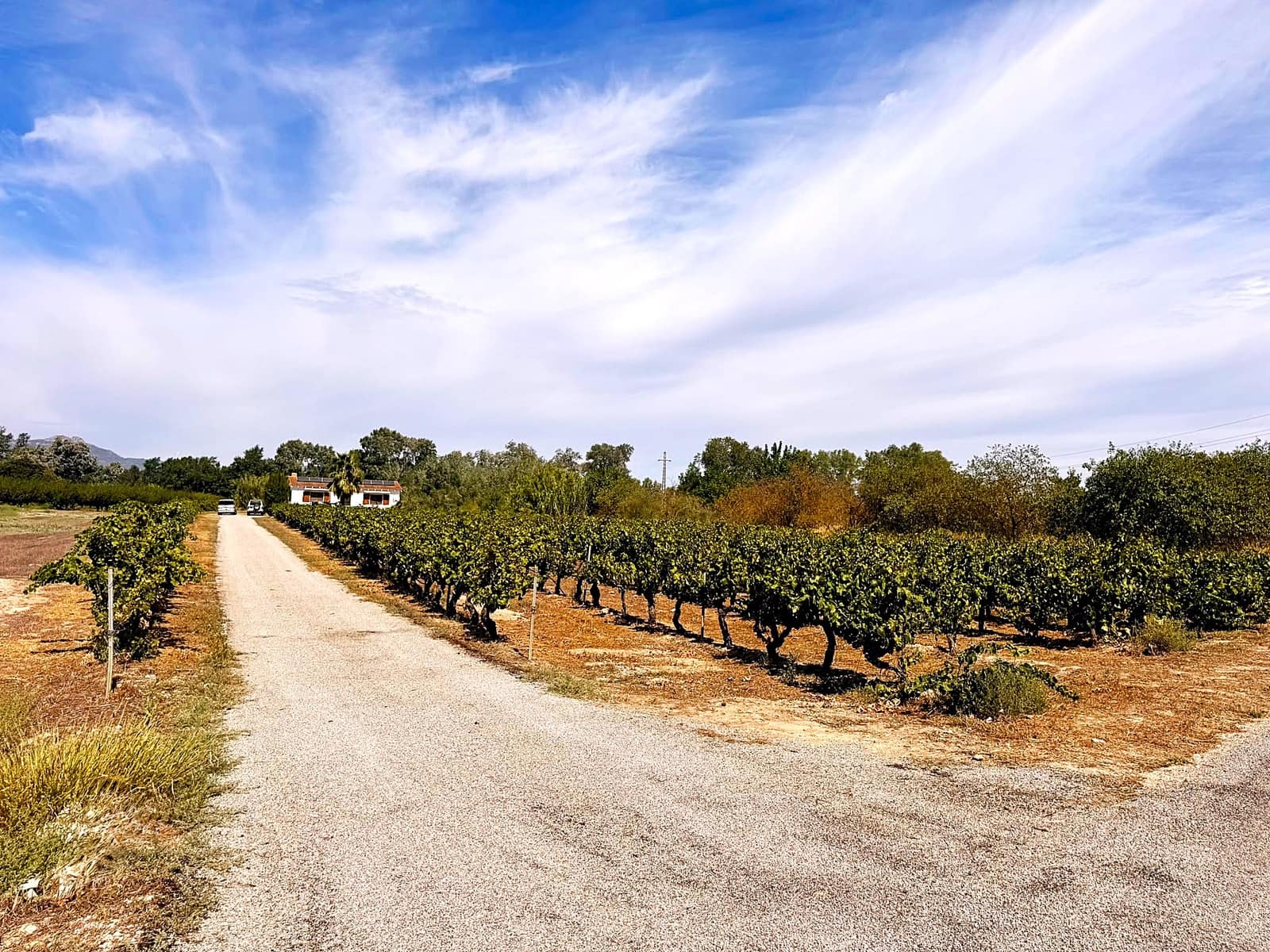 2 bedroom Finca/Country House for sale in Ginestar with pool - € 295,000 (Ref: 10018745)