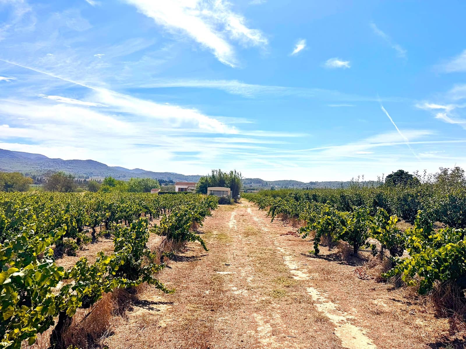 2 bedroom Finca/Country House for sale in Ginestar with pool - € 295,000 (Ref: 10018745)