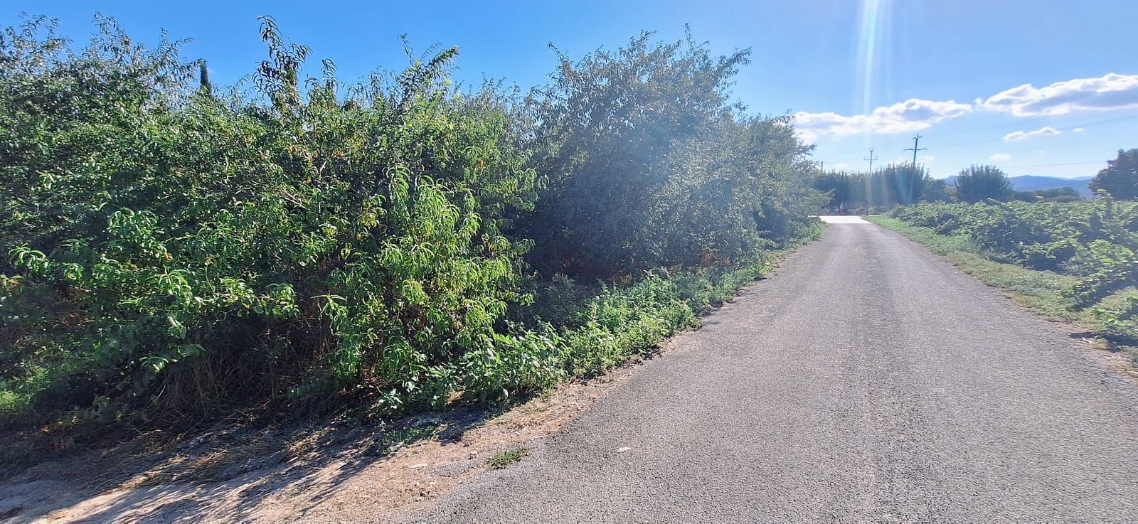 Landgrundstück zu verkaufen in Ginestar - 85.000 € (Ref: 10041790)