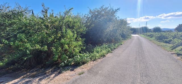 Landgrundstück zu verkaufen in Ginestar - 85.000 € (Ref: 10041790)