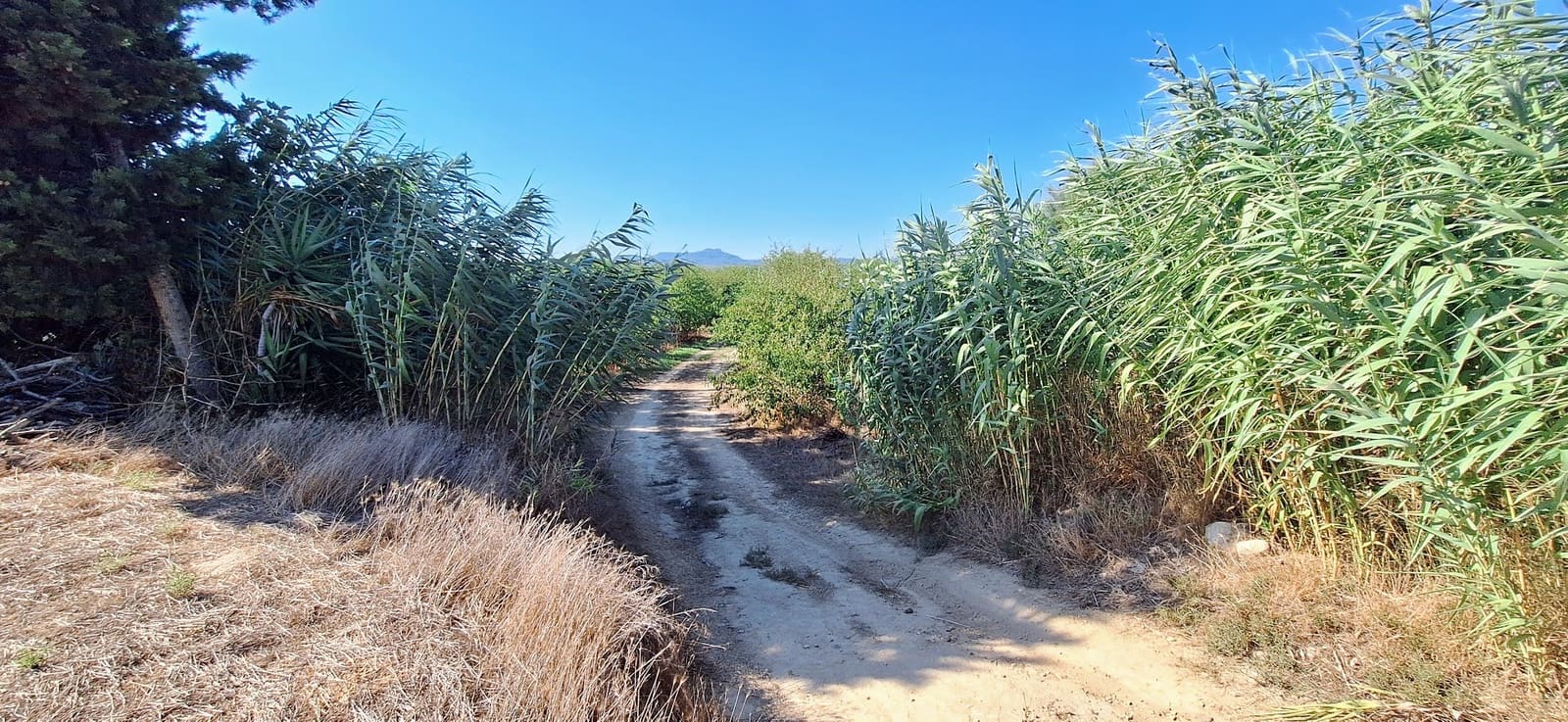 Landgrundstück zu verkaufen in Ginestar - 85.000 € (Ref: 10041790)