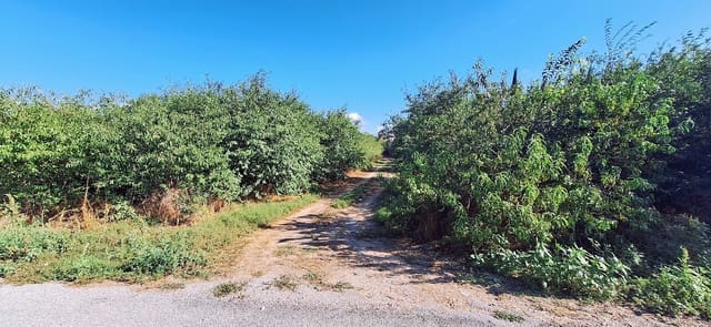 Landgrundstück zu verkaufen in Ginestar - 85.000 € (Ref: 10041790)