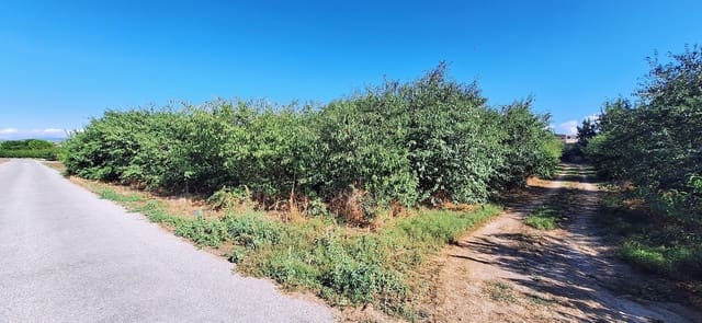 Landgrundstück zu verkaufen in Ginestar - 85.000 € (Ref: 10041790)