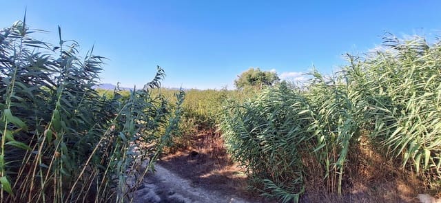 Landgrundstück zu verkaufen in Ginestar - 85.000 € (Ref: 10041790)