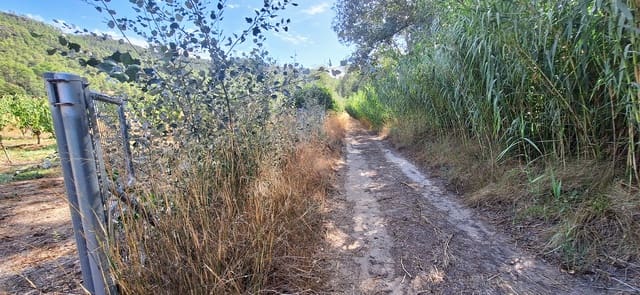 Finca/Landhuis te koop in Rasquera - € 44.000 (Ref: 10041798)