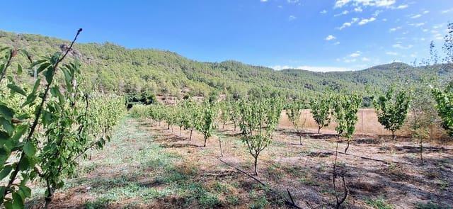 Finca/Landhuis te koop in Rasquera - € 44.000 (Ref: 10041798)