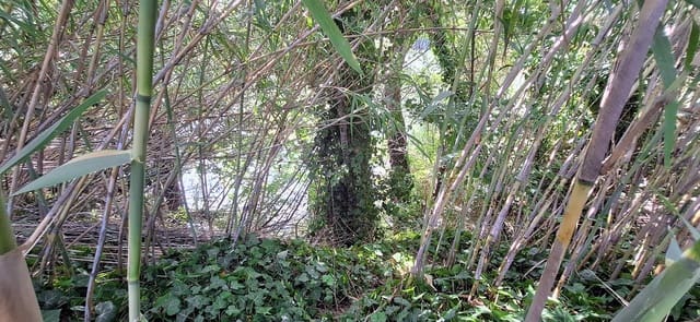 Finca/Landhuis te koop in Rasquera - € 44.000 (Ref: 10041798)