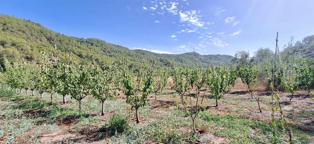 Finca/Landhuis te koop in Rasquera - € 44.000 (Ref: 10041798)
