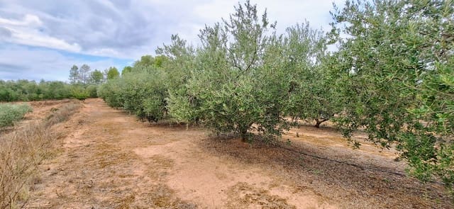 Finca/Herregård til salgs i Ginestar - € 49 000 (Ref: 10042260)