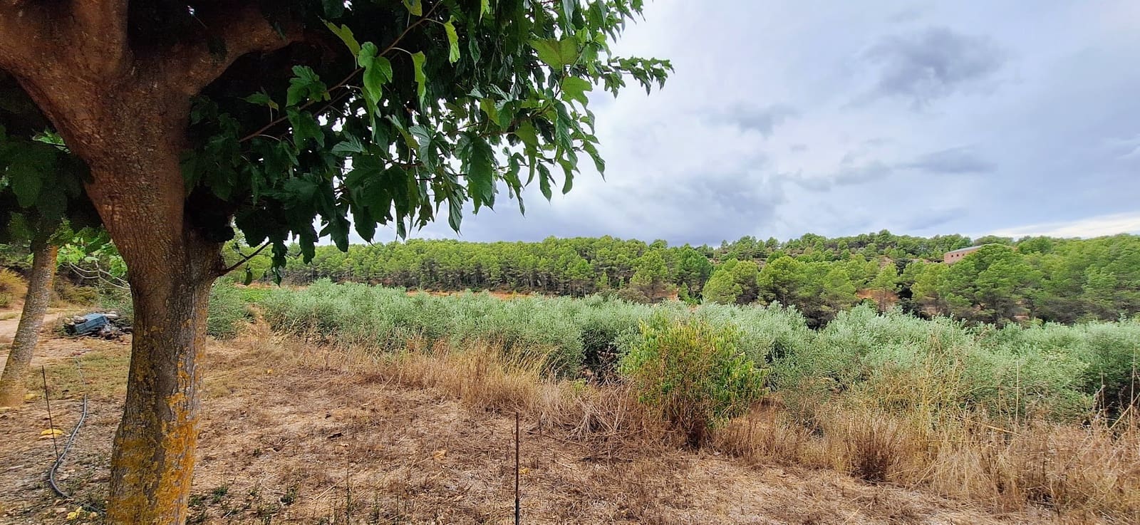 Finca/Country House for sale in Ginestar - € 49,000 (Ref: 10042260)