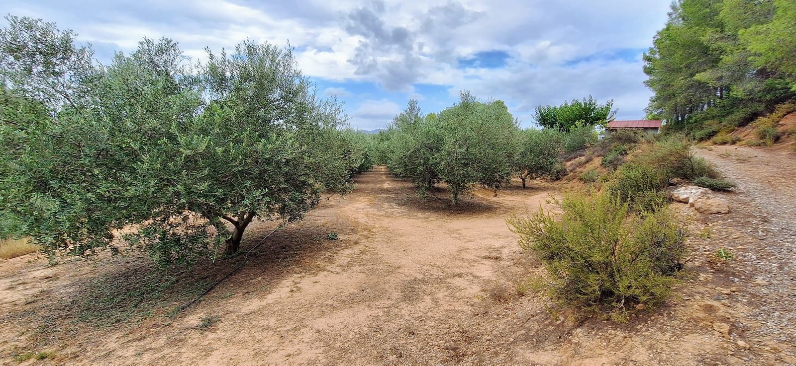 Finca/Country House for sale in Ginestar - € 49,000 (Ref: 10042260)