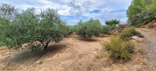 Finca/Herregård til salgs i Ginestar - € 49 000 (Ref: 10042260)