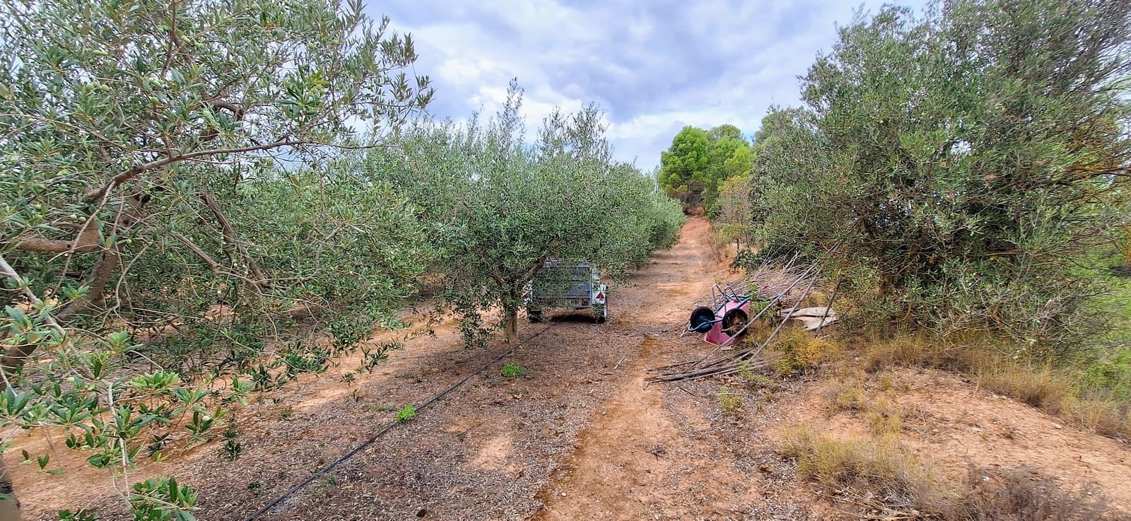 Finca/Country House for sale in Ginestar - € 49,000 (Ref: 10042260)