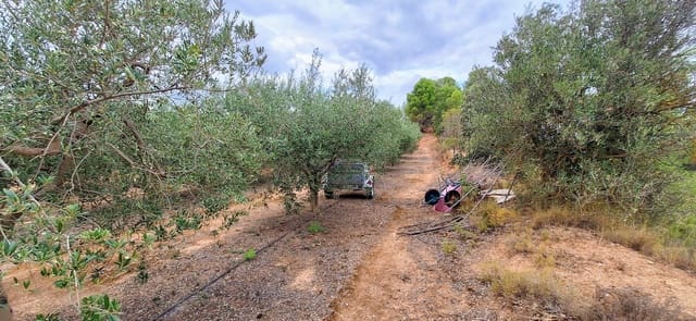 Finca/Herregård til salgs i Ginestar - € 49 000 (Ref: 10042260)