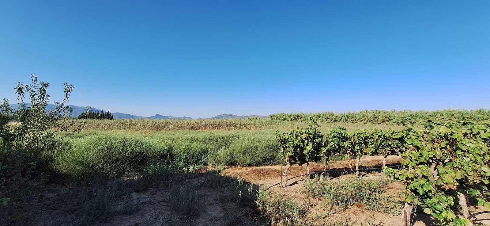 Finca/Country House for sale in Ginestar - € 59,000 (Ref: 10045687)
