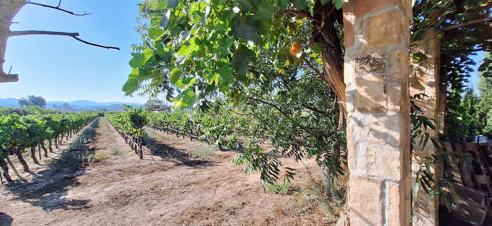 Finca/Country House for sale in Ginestar - € 59,000 (Ref: 10045687)