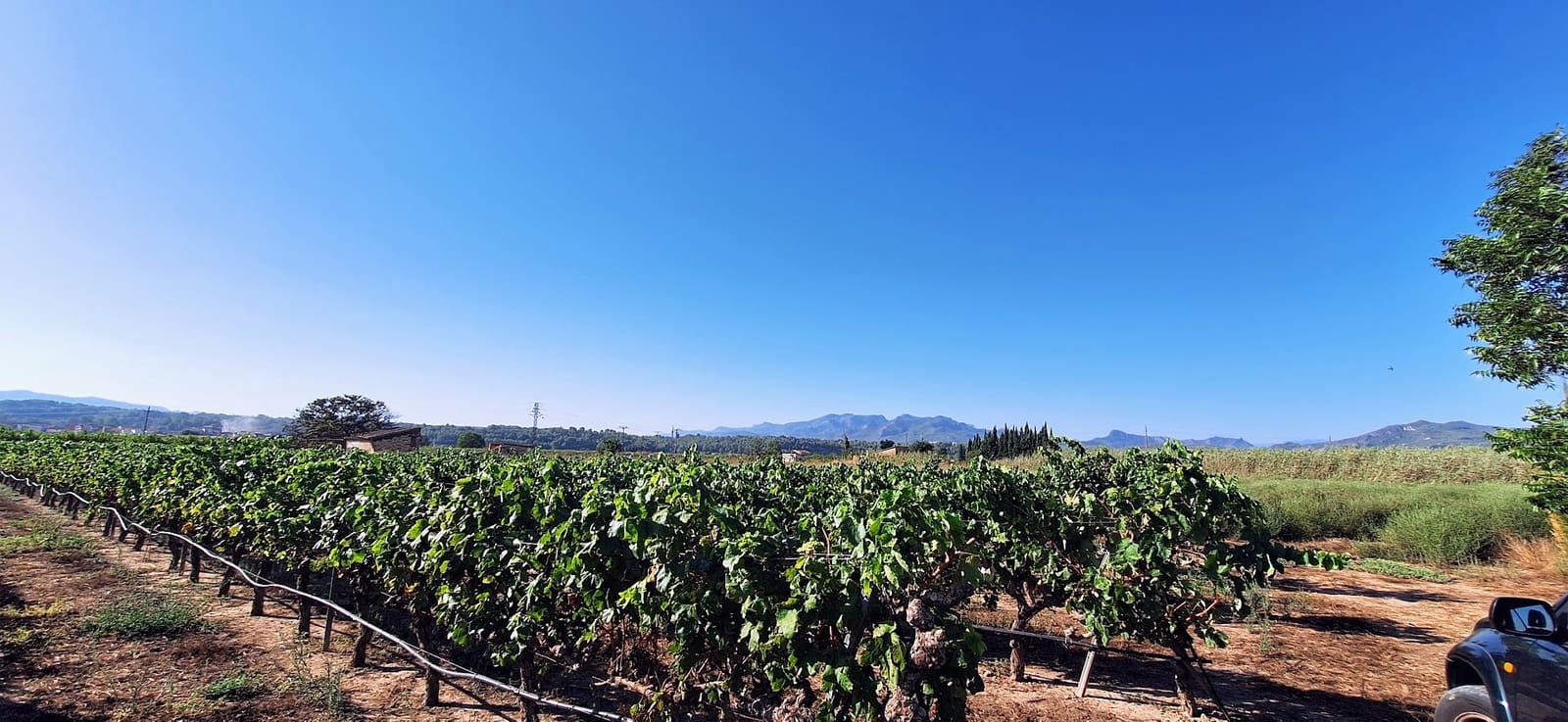 Finca/Country House for sale in Ginestar - € 59,000 (Ref: 10045687)