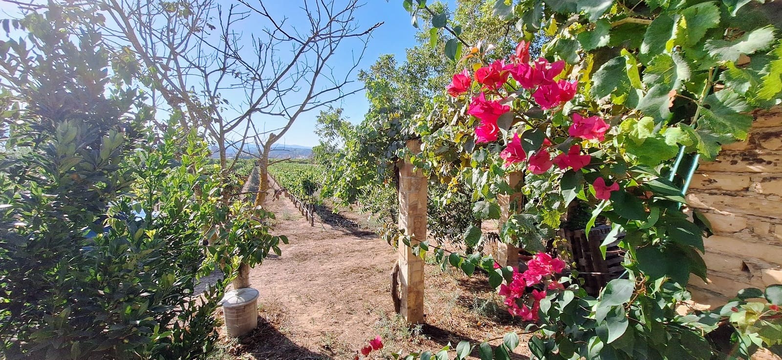Finca/Country House for sale in Ginestar - € 59,000 (Ref: 10045687)