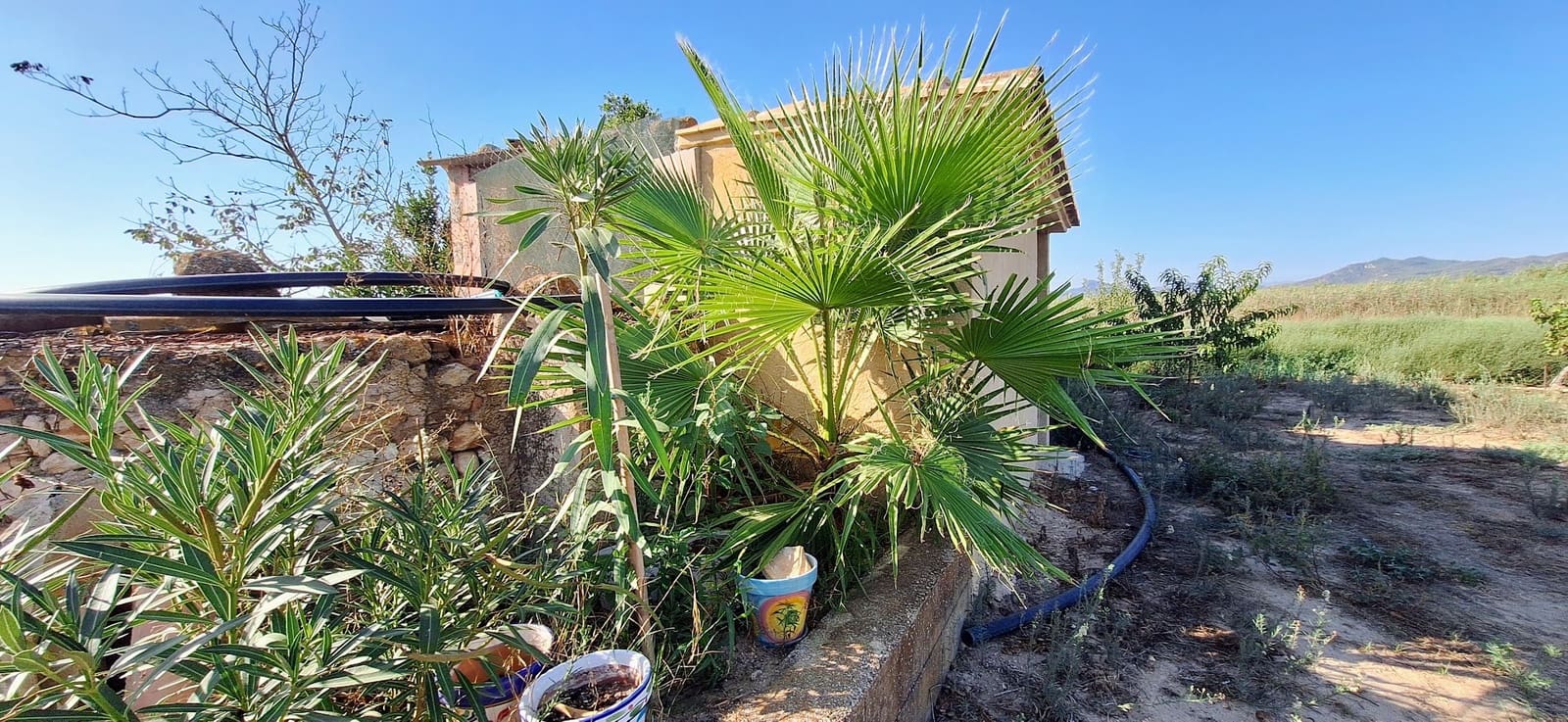 Finca/Country House for sale in Ginestar - € 59,000 (Ref: 10045687)